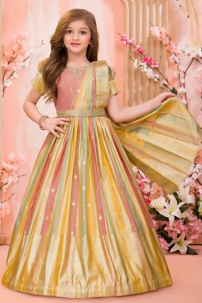 Peach Zardozi and Zari work with Multicolor Long Party Gown